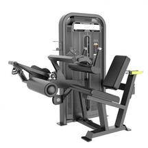 AP. MUSC. FLEXÃO DE PERNA SENTADA (LEG CURL) SALTER