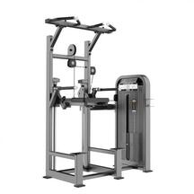 APARELHO MUSCULAÇÃO ELEVAÇÕES/ FUNDOS ASSISTIDA SALTER