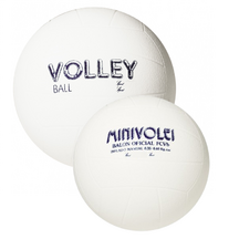 BOLA DE VOLEIBOL EM TPE