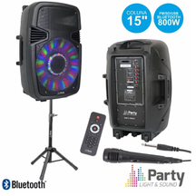 COLUNA AMPLIFICADA 15" 800W USB/BT/SD SUPORT/MICRO PARTY